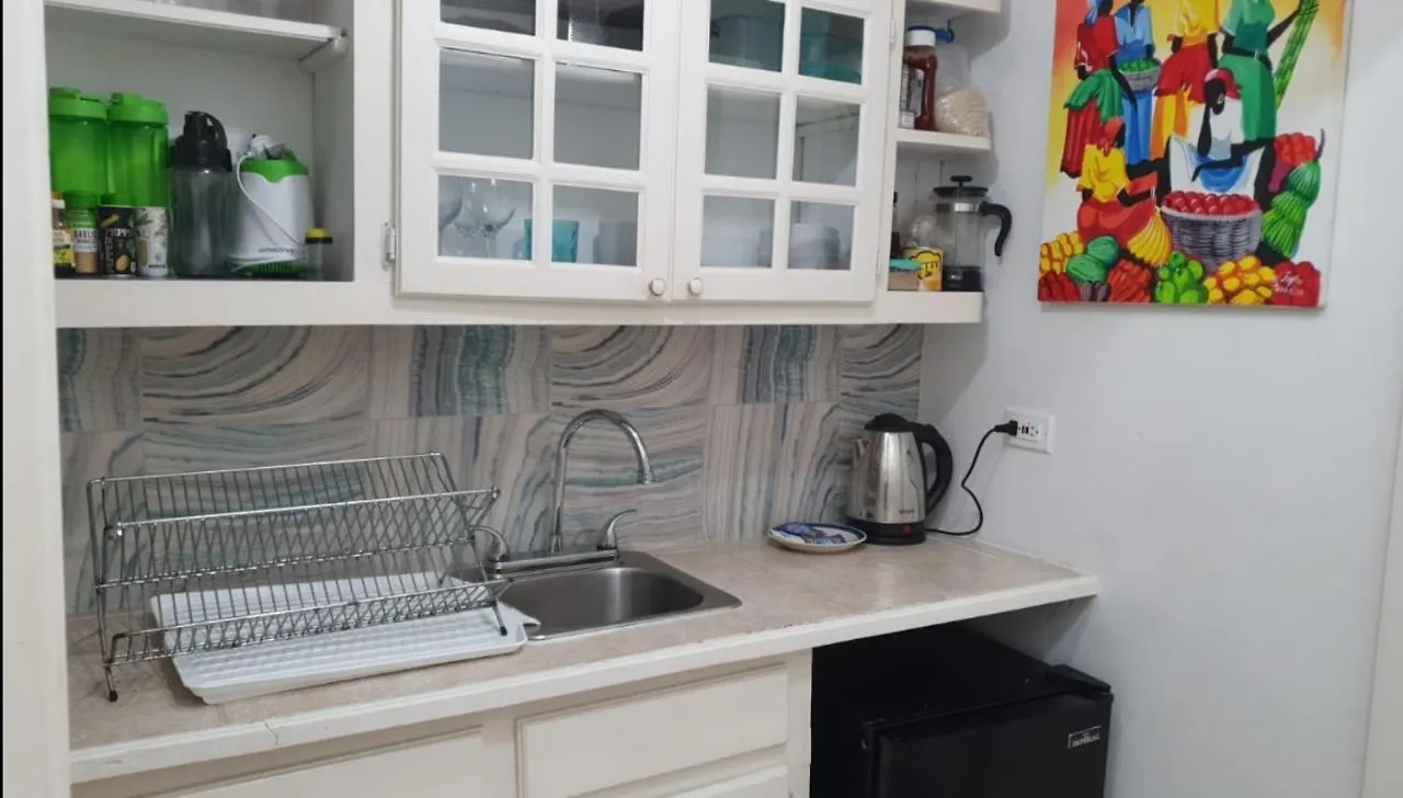 Studio19 At Mystic Ridge Διαμέρισμα Ότσο Ρίος Τζαμάικα